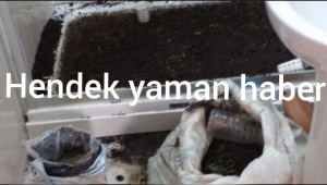 Hendek'de Geçtiğimiz Günlerde  Yaşanılan Silah Seslerinin Detayları Ortaya Çıktı