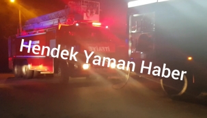 Hendek Yeni Köye'de Korkutan  Yangın