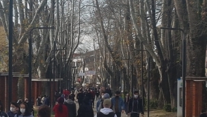 Anket Yayında