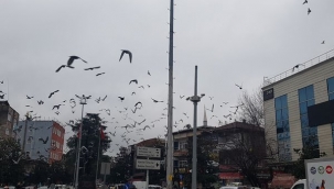 Sakarya İçin Fırtına Uyarısı