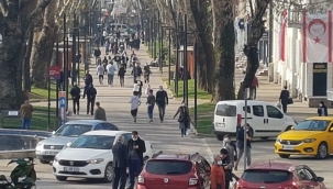 Hendek'te Güneşi Gören Kendini Dışarı Attı