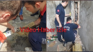 Hendek İtfaiye Ekibinden Minik Kedi Seferberliği