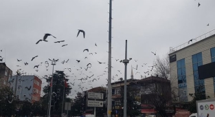 Dikkat kuvvetli rüzgar ve fırtına uyarısı