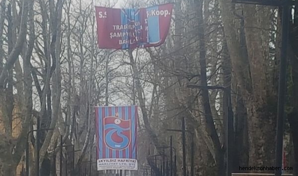 Hendek Bordo Mavi
