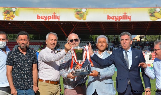Futbolda Hendek Sapanca kardeşliği