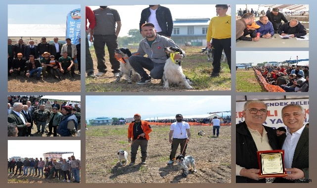 HENDEK ÇAKALLIK MEVKİNDE EN İYİ AV KÖPEKLERİ YARIŞTI