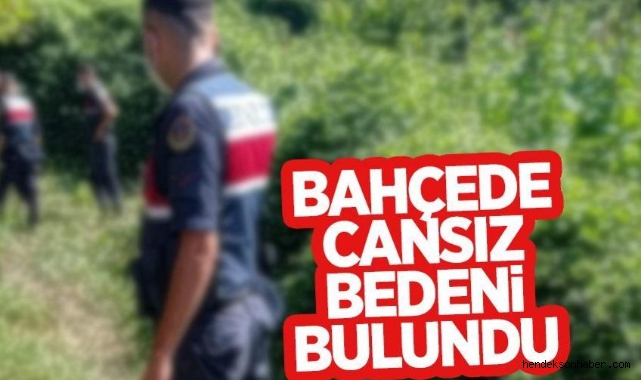 Hendek'te üç çocuk babası bahçede ölü bulundu. 