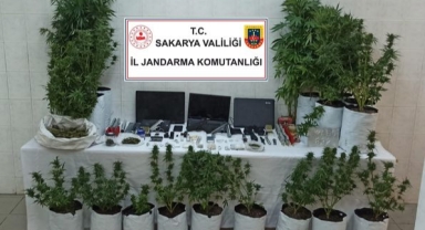 Hendek'te Jandarmadan Uyuşturucu Operasyonu