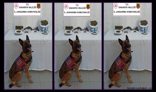 Hendek'te Uyuşturucuya Geçit Yok 2 gözaltı
