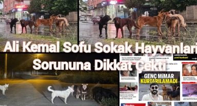 Ali Kemal Sofu; Sokak Hayvanları Sorununa dikkat çekti