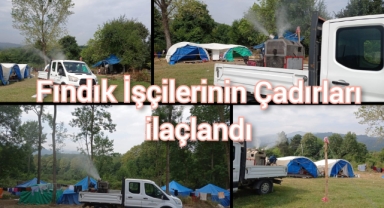 Fındık işçilerinin çadırları ilaçlandı 