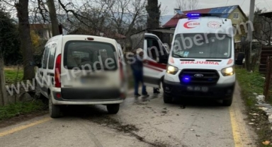 Hendek’te Panelvan Ağaca Çarptı  1 yaralı