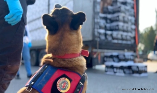 Sahte kargo aracıyla kaçakçılık! Hendek’te son buldu