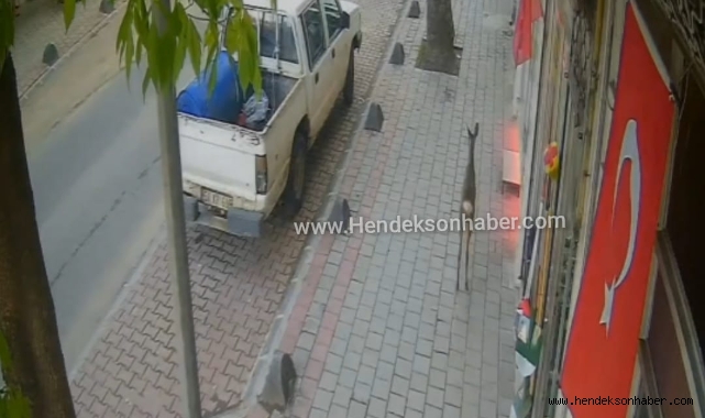 Sevimli Karaca’dan Hendek turu  