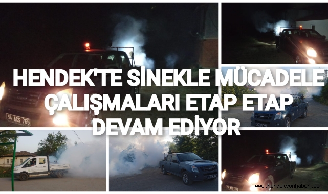 HENDEK’TE SİNEKLE MÜCADELE ÇALIŞMALARI ETAP ETAP DEVAM EDİYOR