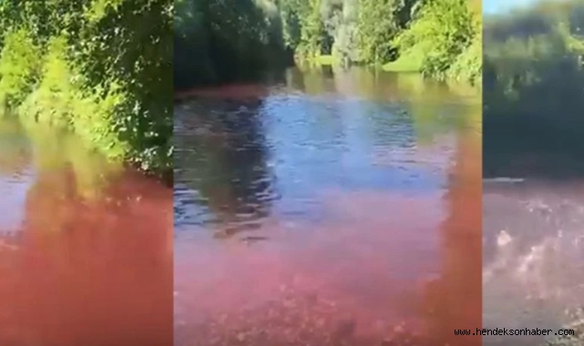 Akyazı Mudurnu Deresi'nde Şoke Eden Görüntü: Vatandaş Tedirgin!