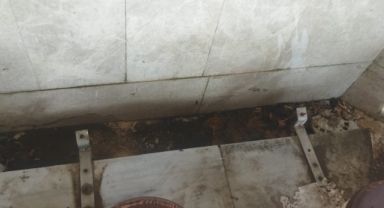 Hendek Büyük Cami Şadırvanı Tepki Çekti: Vatandaşlardan "Bu Hal Ne?" Sorusu