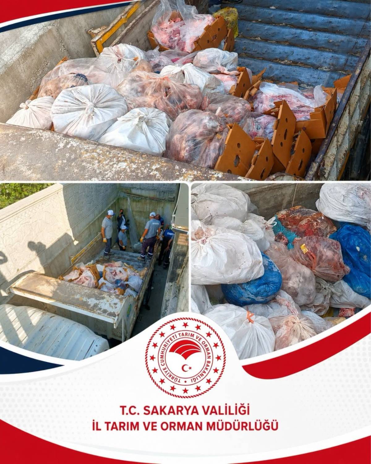 Hendek’te şok manzara: 5,5 ton ete el konuldu